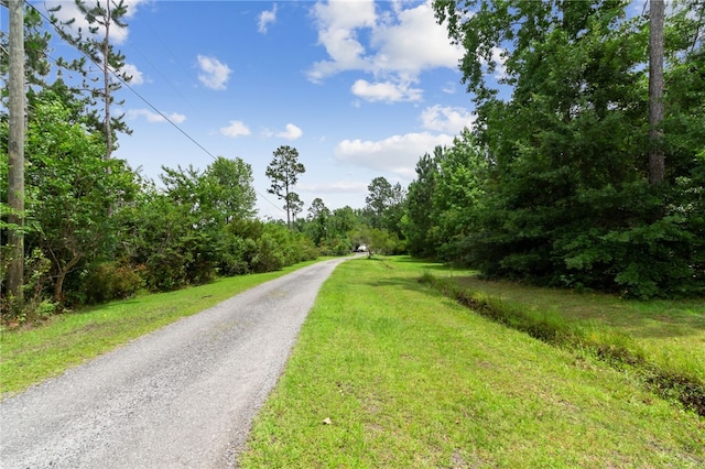 40 Jada Ln, Brunswick, GA 31523 - view of dirt / gravel road with a view of trees
