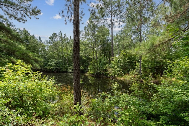 40 Jada Ln, Brunswick, GA 31523 - view of woods
