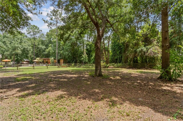 40 Jada Ln, Brunswick, GA 31523 - view of yard