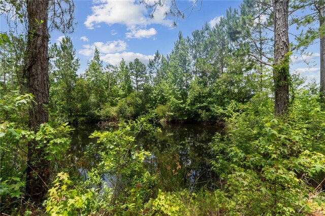 40 Jada Ln, Brunswick, GA 31523 - view of woods