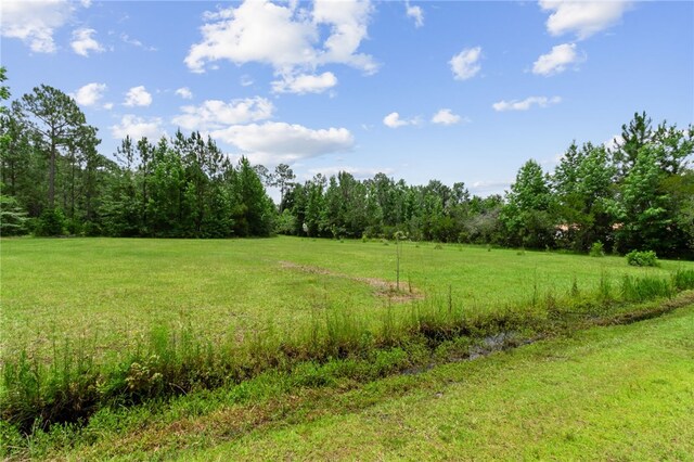 40 Jada Ln, Brunswick, GA 31523 - view of grassy yard with a view of countryside and a forest view