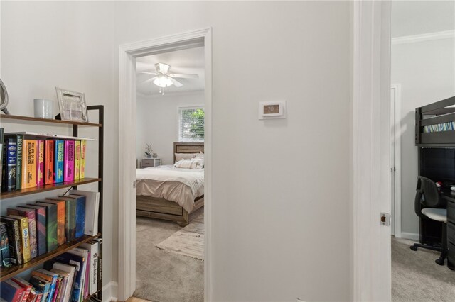 40 Jada Ln, Brunswick, GA 31523 - hallway with carpet, ornamental molding, and baseboards