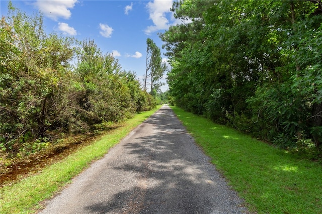 40 Jada Ln, Brunswick, GA 31523 - view of street
