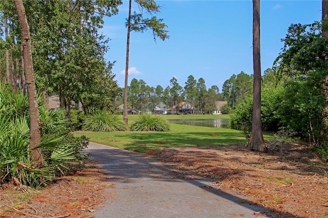 view of community featuring a yard and a water view