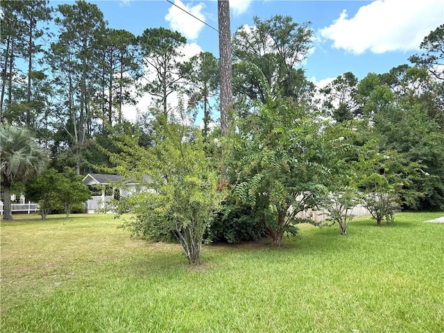 1430 Isabella St, Waycross, GA 31503 - photo 28