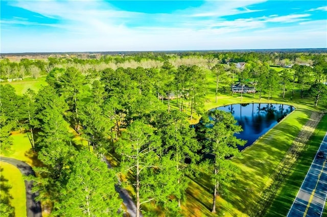 2227 Ware St, Blackshear, GA 31516 - bird's eye view of a nearby body of water