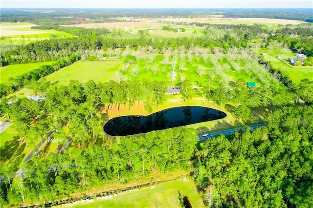 2227 Ware St, Blackshear, GA 31516 - bird's eye view of a large body of water