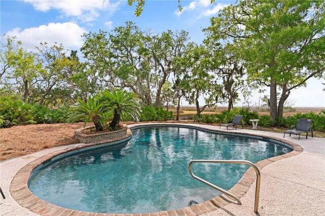 pool with a patio area