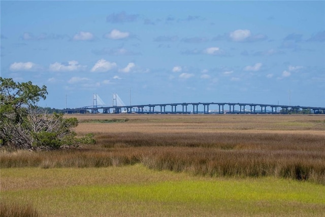 view of local wilderness