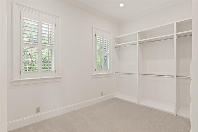 walk in closet featuring carpet flooring