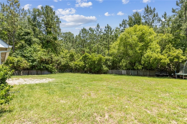 107 Tori Dr, Saint Marys, GA 31558 - view of yard with a trampoline