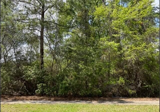 00 Charleston Way, Saint Marys, GA 31558 - photo 1