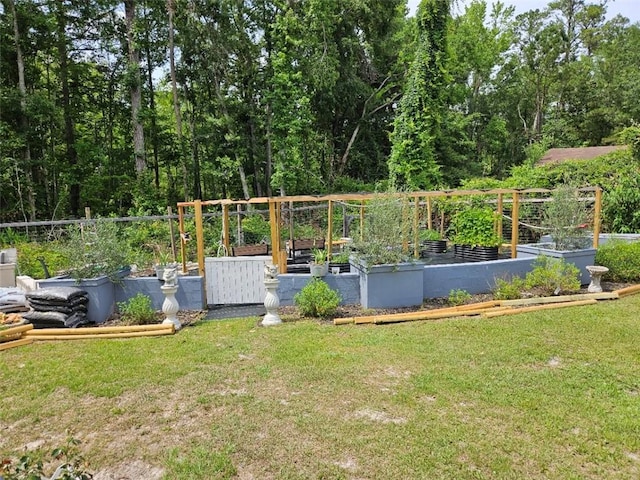 300 Crestview Dr, Woodbine, GA 31569 - view of green lawn with a garden