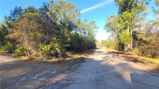 101 NE White Dr, Shellman Bluff GA, 31331 land for sale