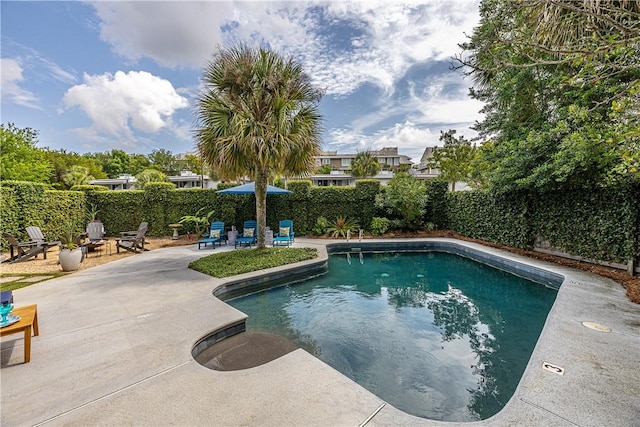 view of pool with a patio area, a fenced backyard, and a fenced in pool