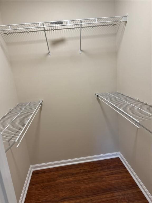 spacious closet featuring wood-type flooring