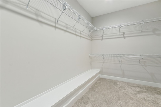 walk in closet with carpet floors