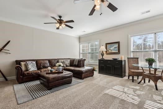 living room with plenty of natural light, a ceiling fan, and carpet floors