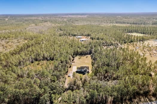 drone / aerial view featuring a view of trees