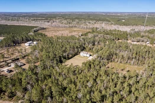 aerial view with a view of trees