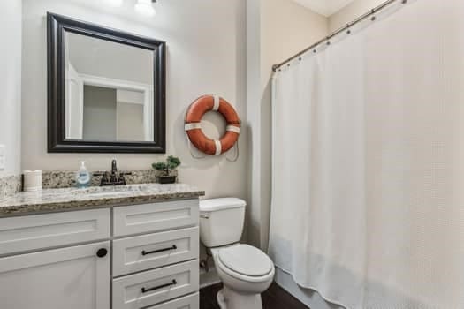 bathroom with toilet and vanity