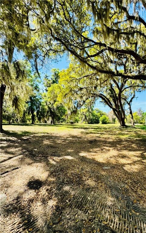 LOT49 Coopers Point Dr NE, Townsend, GA 31331