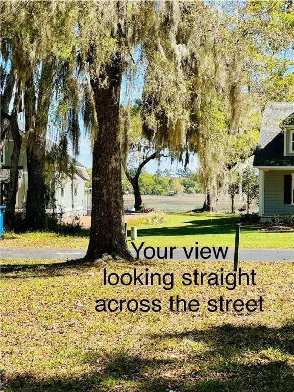 LOT49 Coopers Point Dr NE, Townsend, GA 31331
