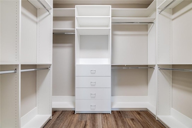 walk in closet with wood-type flooring