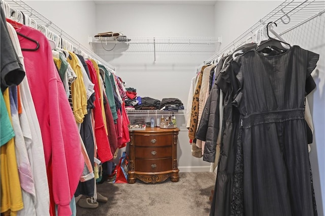 walk in closet featuring carpet flooring