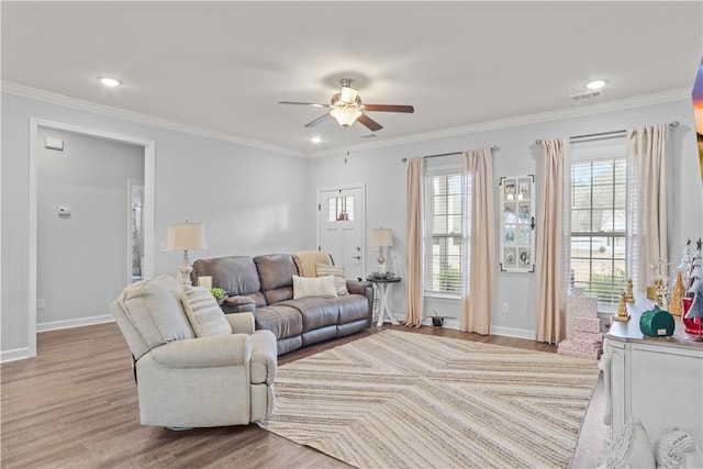 living room featuring ceiling fan, light wood-type flooring, and crown molding