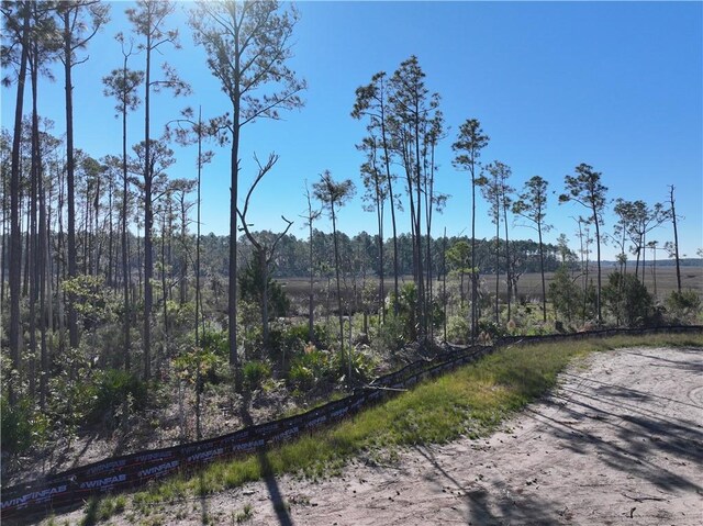 0 Richards Ct, Saint Marys, GA 31558 - photo 8