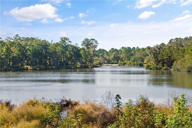 2401 Lawrence Rd, Saint Simons Island, GA 31522