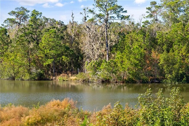 2401 Lawrence Rd, Saint Simons Island, GA 31522