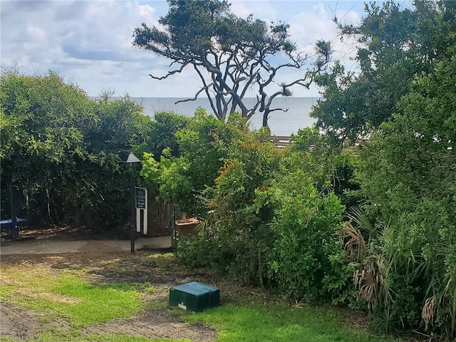 view of yard featuring a water view