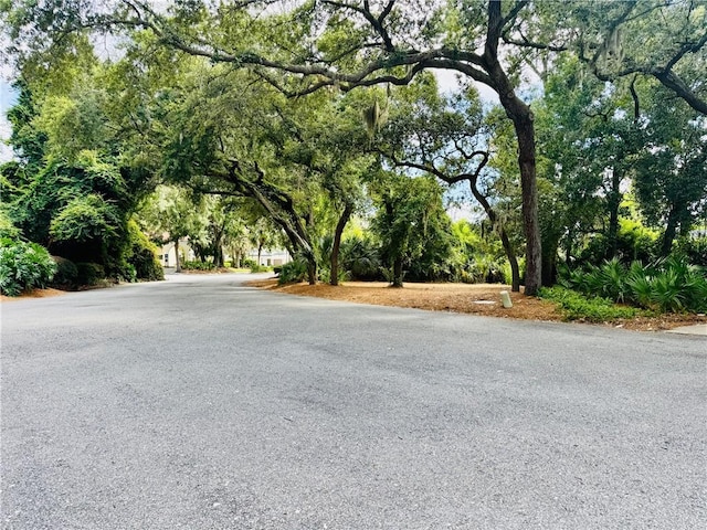 2502 Demere Rd Unit 3, Saint Simons Island, GA 31522 - view of asphalt road