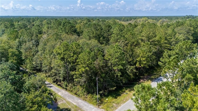 2601 Buck Swamp Rd, Brunswick, GA 31523 - photo 25