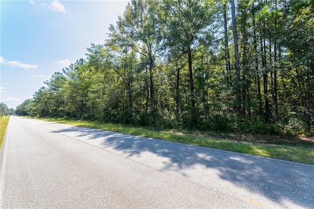 2601 Buck Swamp Rd, Brunswick, GA 31523 - photo 28