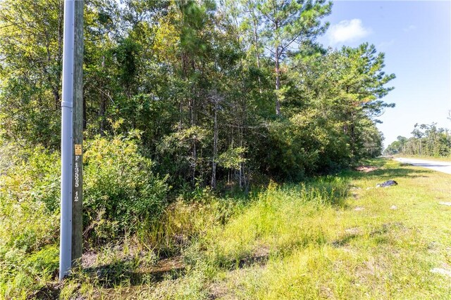 2601 Buck Swamp Rd, Brunswick, GA 31523 - photo 29