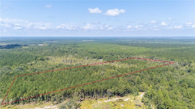 2601 Buck Swamp Rd, Brunswick, GA 31523 - photo 14