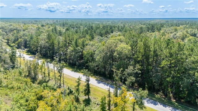 2601 Buck Swamp Rd, Brunswick, GA 31523 - photo 23