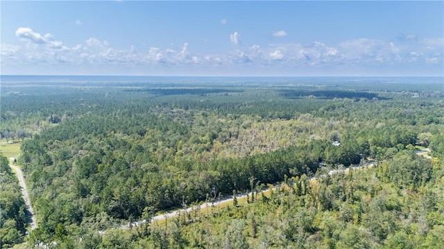 2601 Buck Swamp Rd, Brunswick, GA 31523 - photo 7