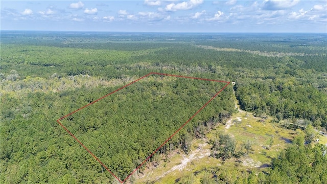 2601 Buck Swamp Rd, Brunswick, GA 31523 - photo 16