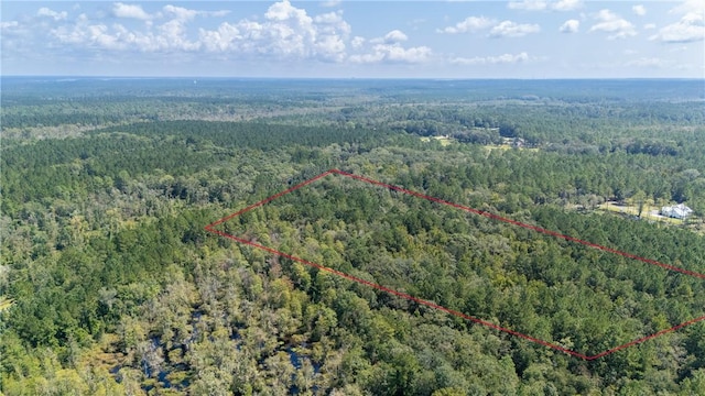 2601 Buck Swamp Rd, Brunswick, GA 31523 - photo 18