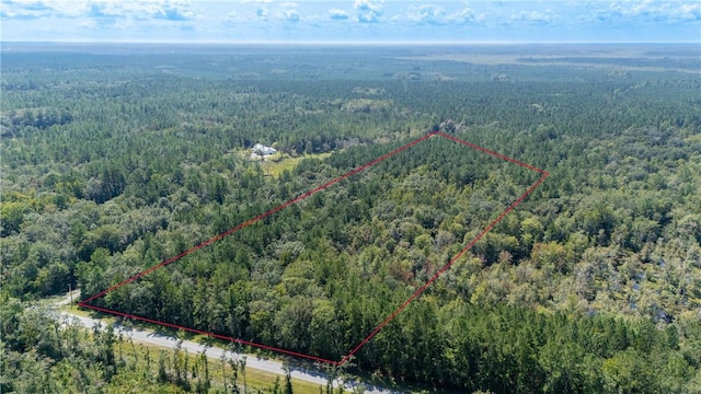 2601 Buck Swamp Rd, Brunswick, GA 31523 - photo 1