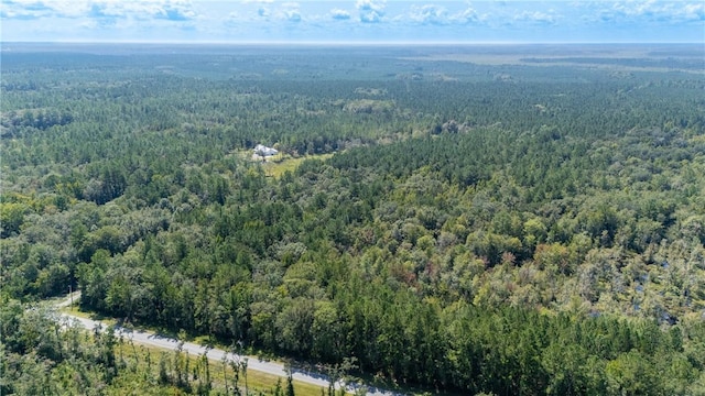 2601 Buck Swamp Rd, Brunswick, GA 31523 - photo 22