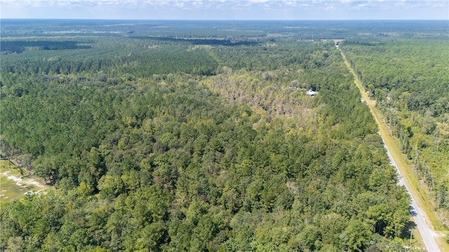 2601 Buck Swamp Rd, Brunswick, GA 31523 - photo 11