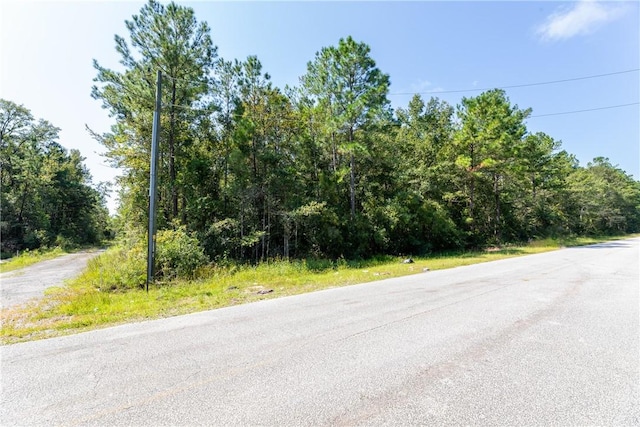 2601 Buck Swamp Rd, Brunswick, GA 31523 - photo 5
