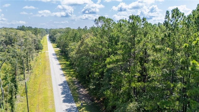 2601 Buck Swamp Rd, Brunswick, GA 31523 - photo 24
