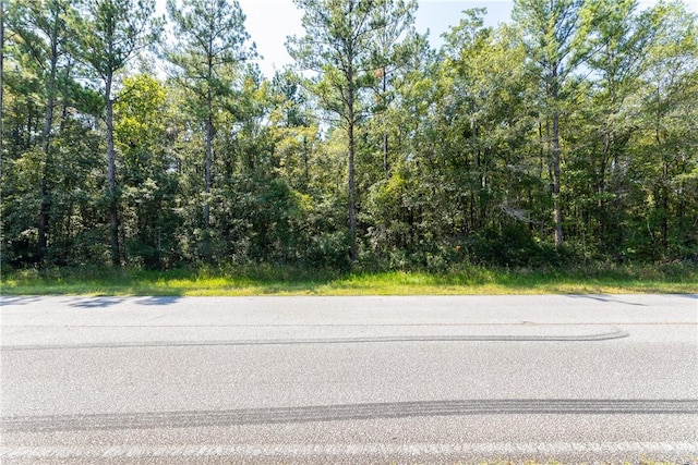 2601 Buck Swamp Rd, Brunswick, GA 31523 - photo 4