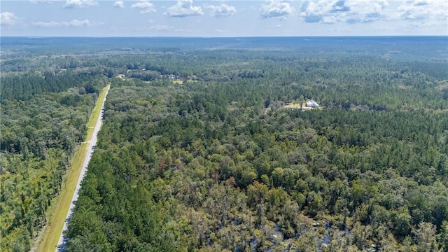 2601 Buck Swamp Rd, Brunswick, GA 31523 - photo 21
